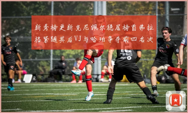 新秀榜更新克尼佩尔稳居榜首弗拉格紧随其后VJ与哈珀争夺前四名次